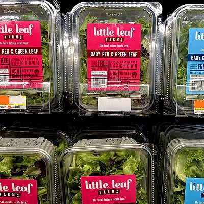 Summer Street Grocers - Salad greens